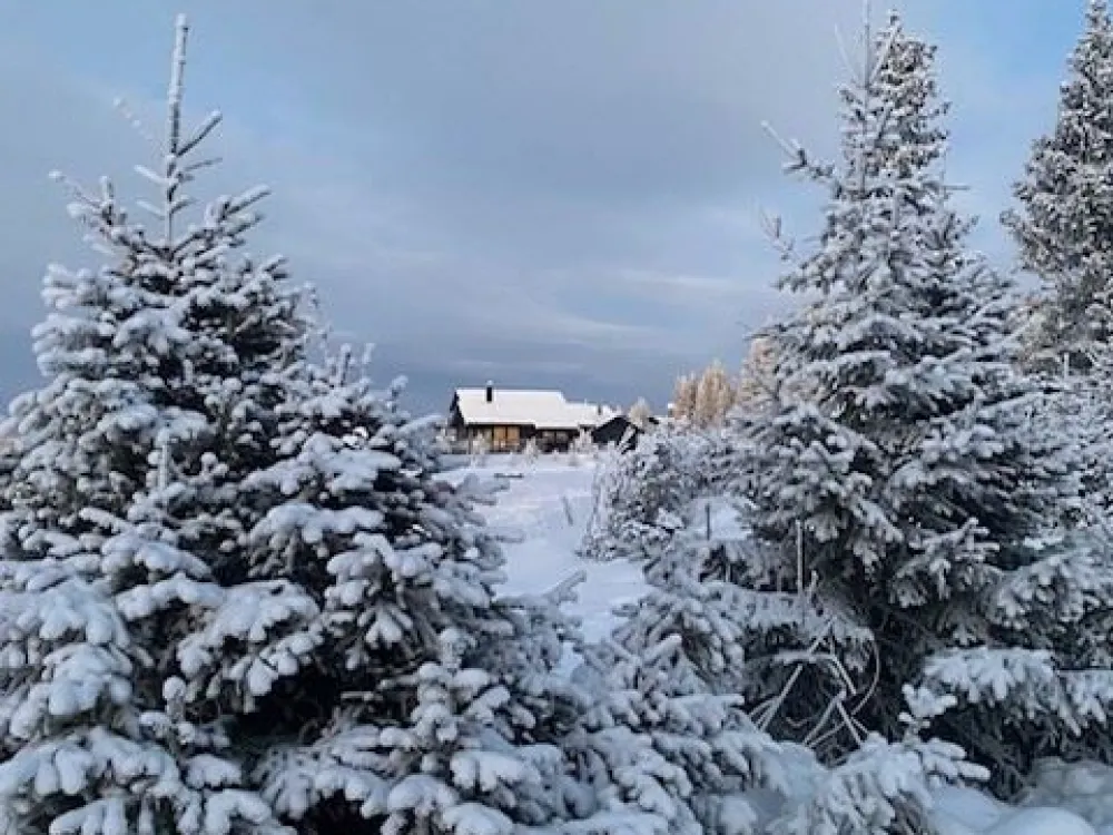 Kronröysa 48