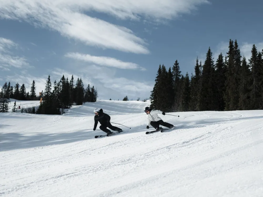 Skipass 3-dagar