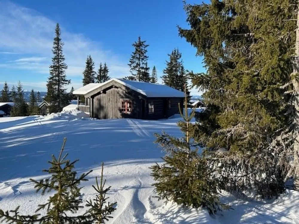 VARDVEGEN 29