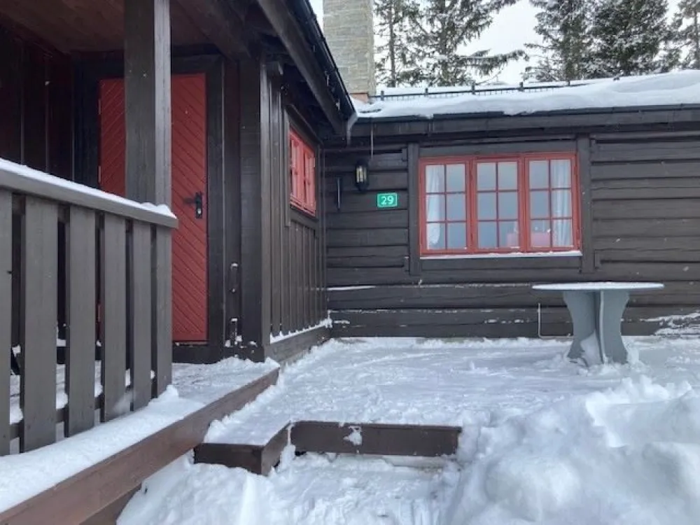 VARDVEGEN 29