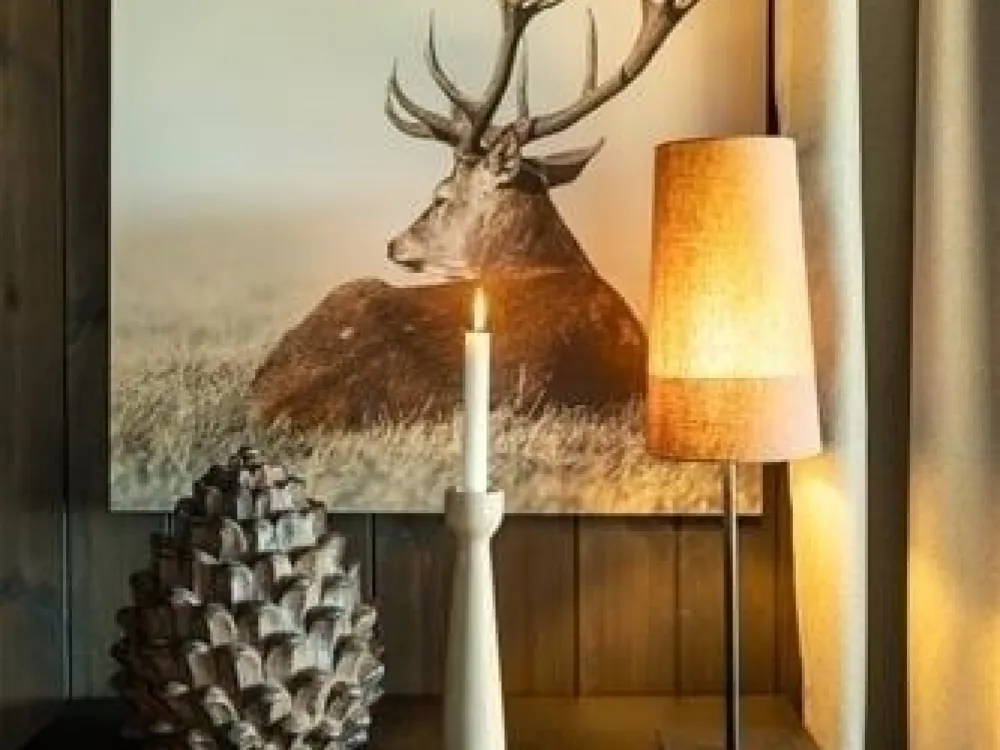 FAVN CHALET 60B