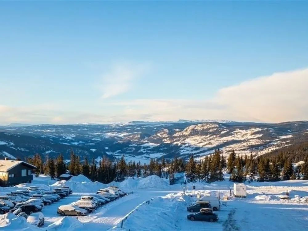 FAVN CHALET 60D