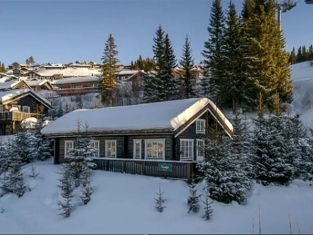 HAFJELL FJELLANDSBY 100