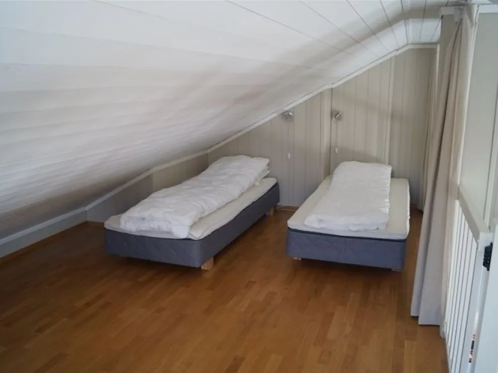 GEITRYGGEN 46C