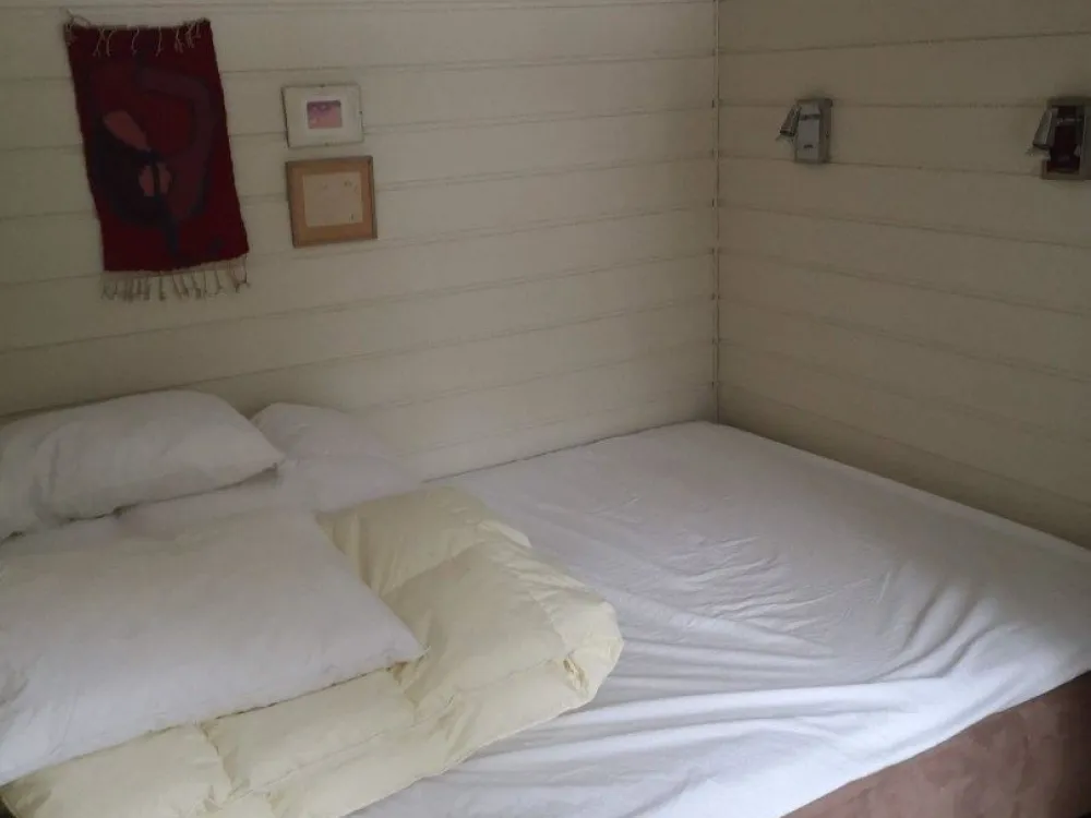 GEITRYGGEN 70C