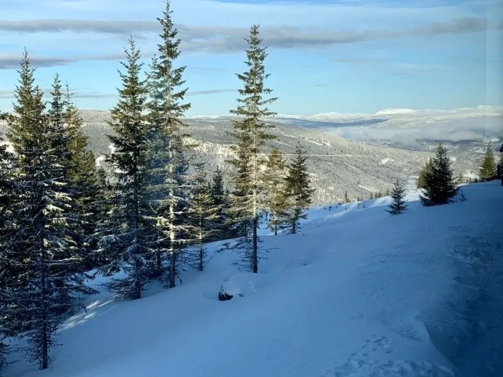 HAFJELL FRONT 224D