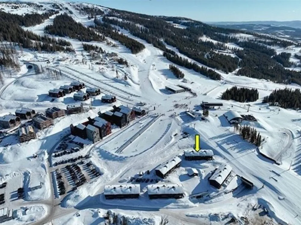 MOSETERTOPPEN BACKYARD 90C
