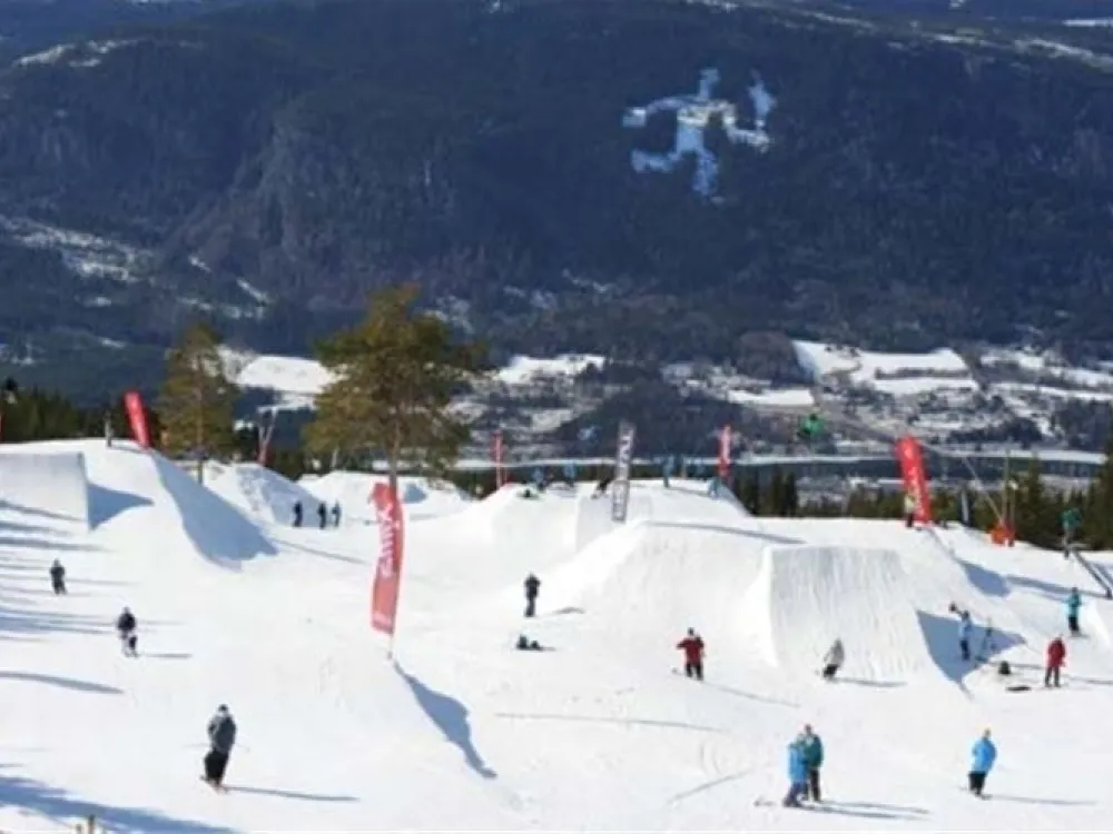MOSETERTOPPEN BACKYARD 98D