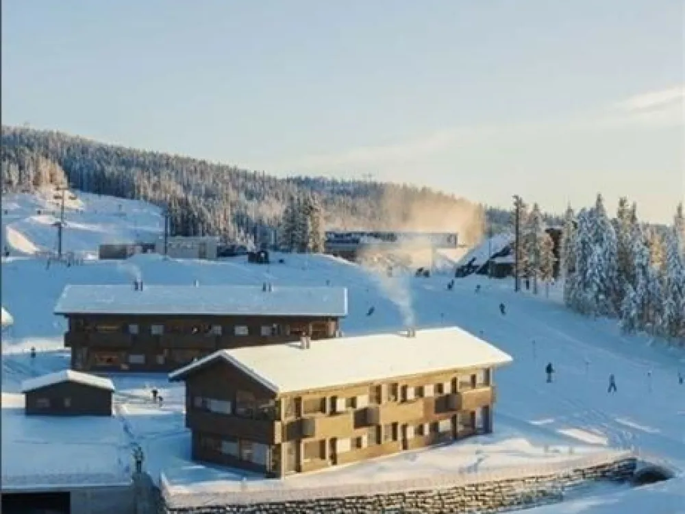 MOSETERTOPPEN BACKYARD 90D