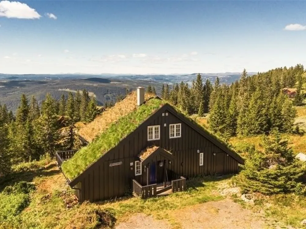 VARDVEGEN 87
