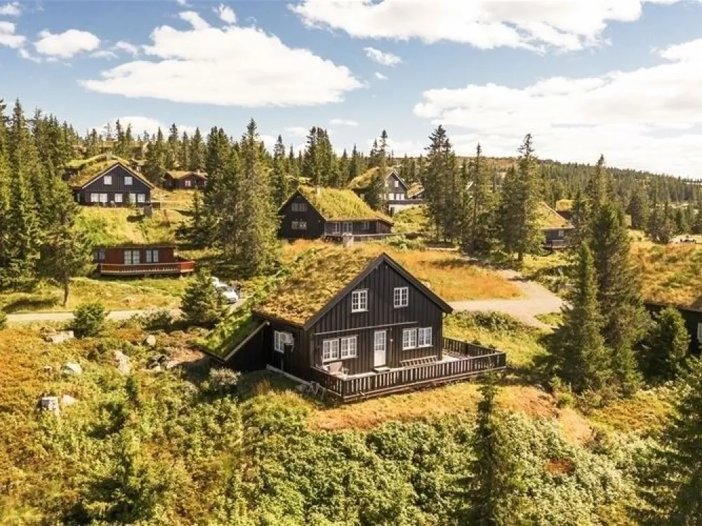 VARDVEGEN 87