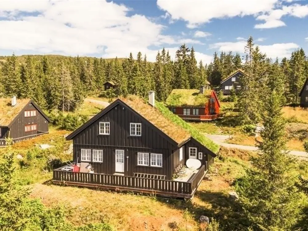 VARDVEGEN 87