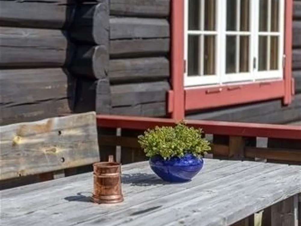 VARDVEGEN 31