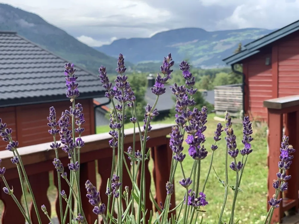 SØRLIA 7C