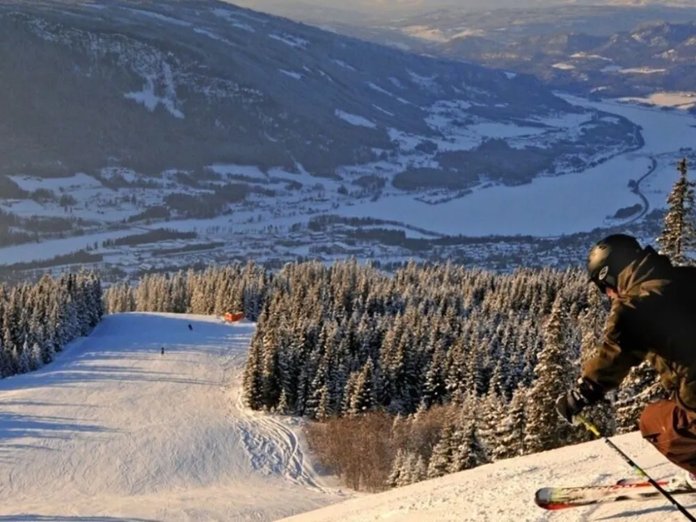 FAVN CHALET 25C