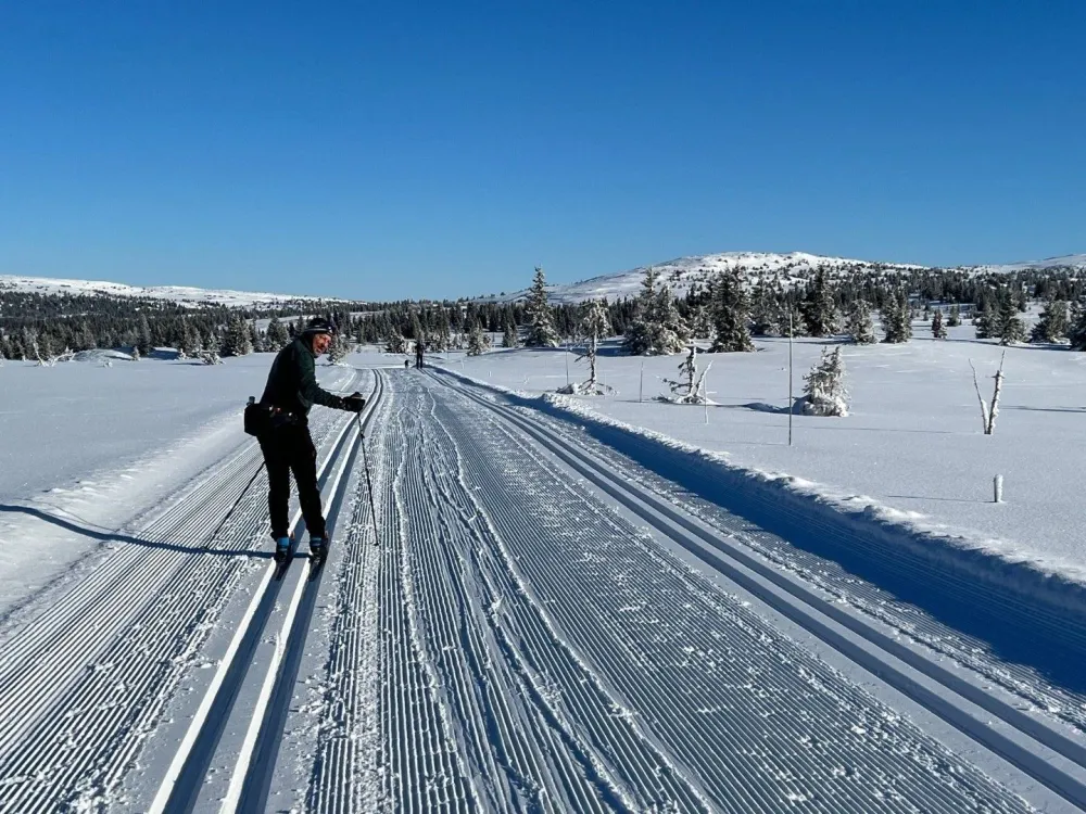 HAFJELL FJELLANDSBY 260A