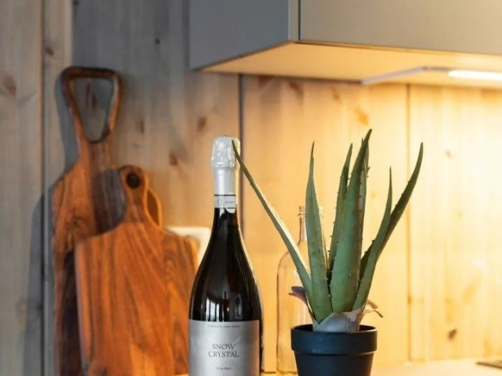 MOSETERTOPPEN SKISTADION H0205