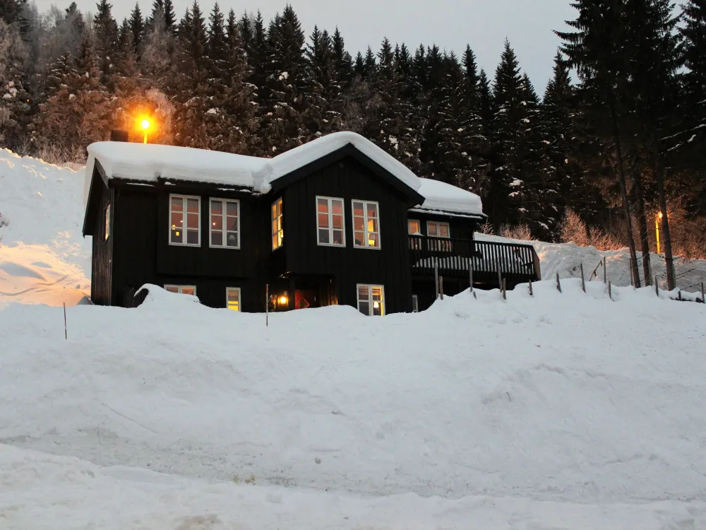 Mosetervegen 141