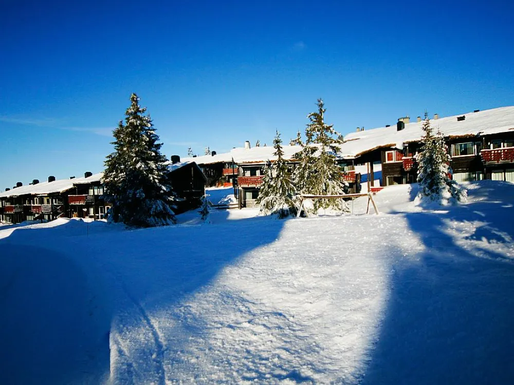 Gaiastova 146