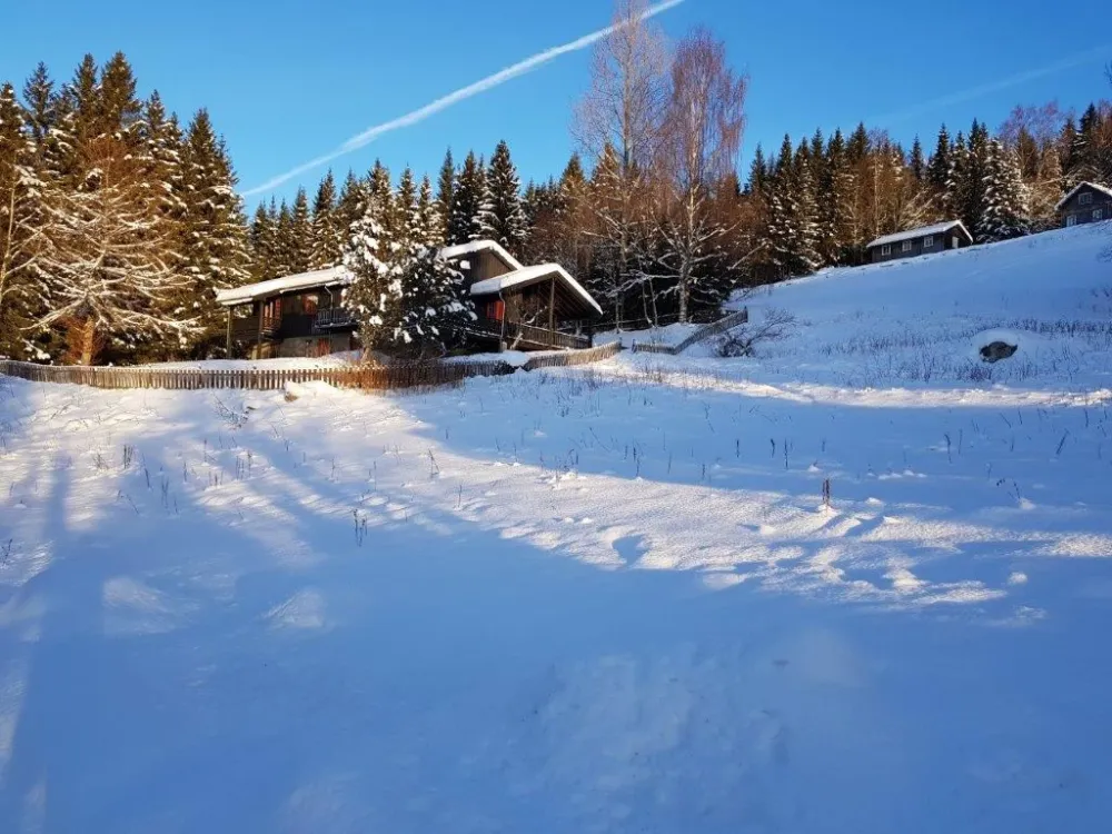 Mosetervegen 173