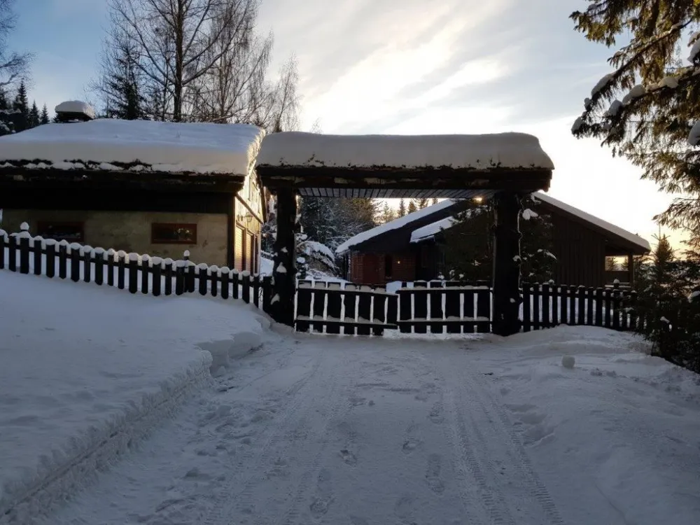 Mosetervegen 173