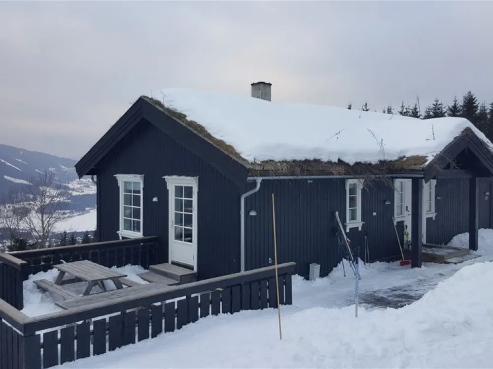 Mosetervegen 101