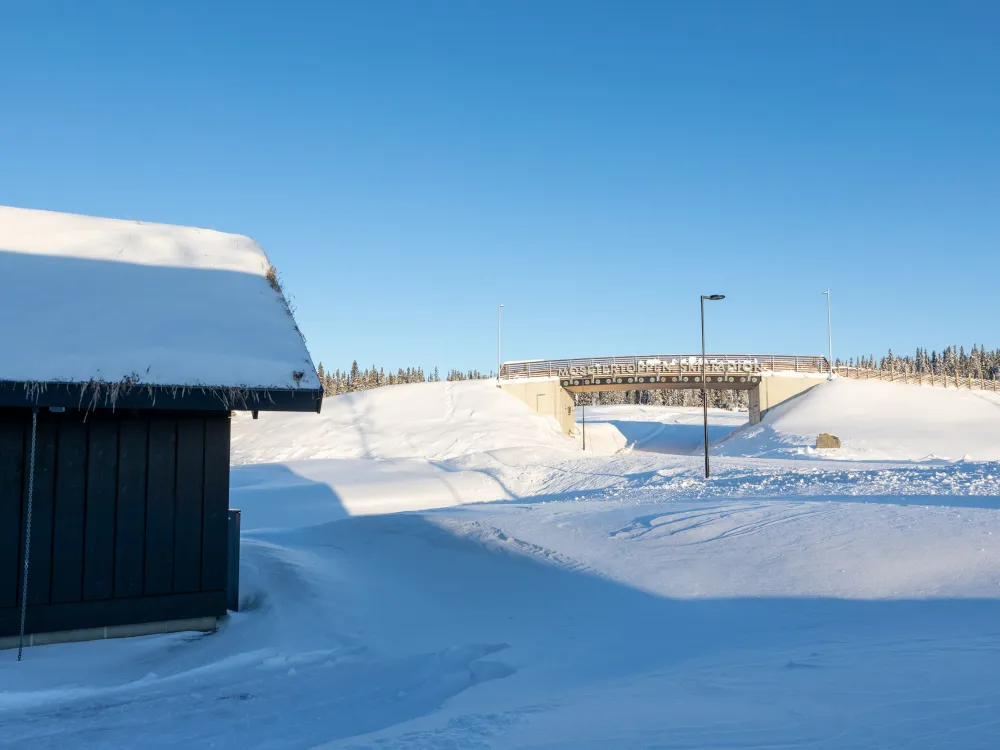 Mosetervegen 743