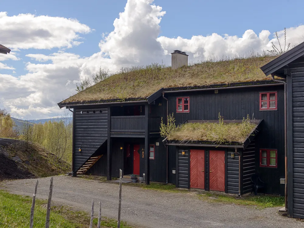 Nordlia A1