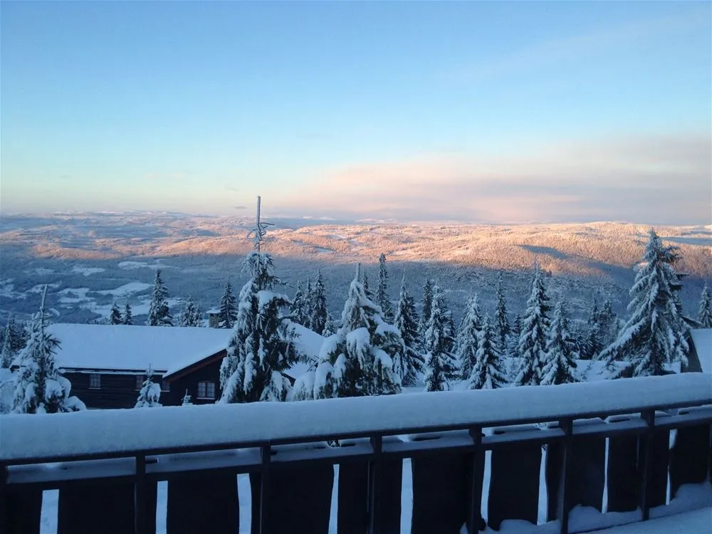 Hemsetervegen 12