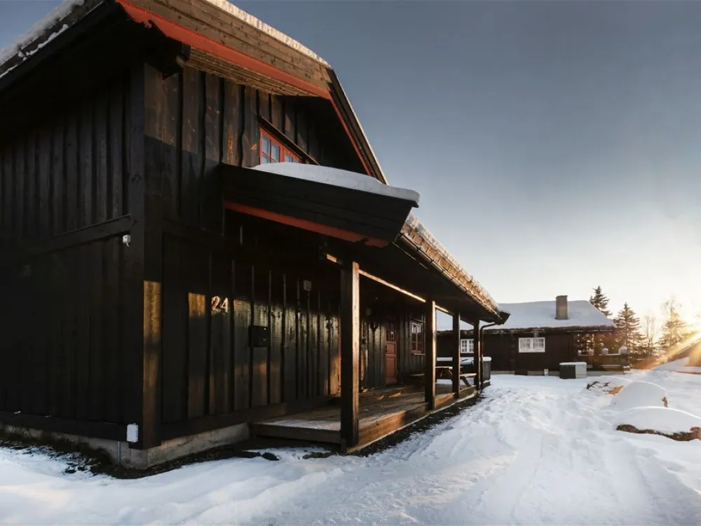 Nordlia 24