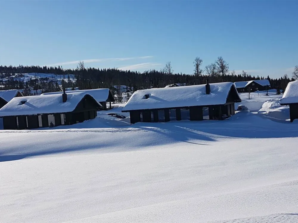 Mosetervegen 736