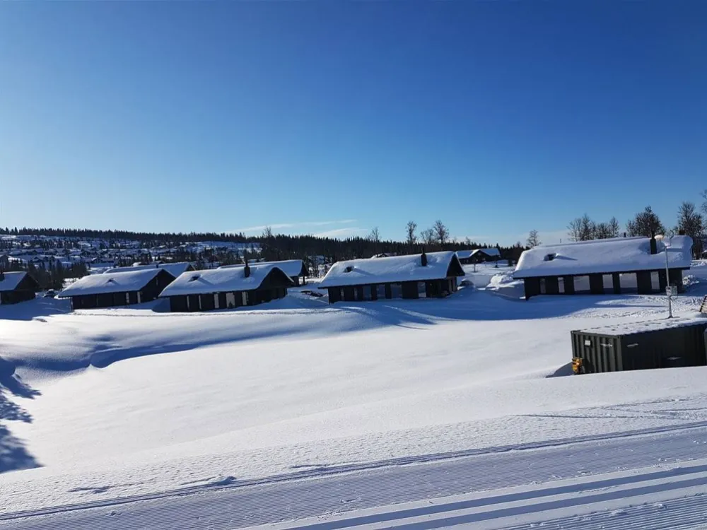 Mosetervegen 736