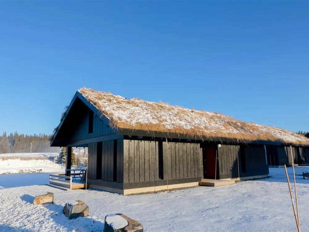 Mosetervegen 736