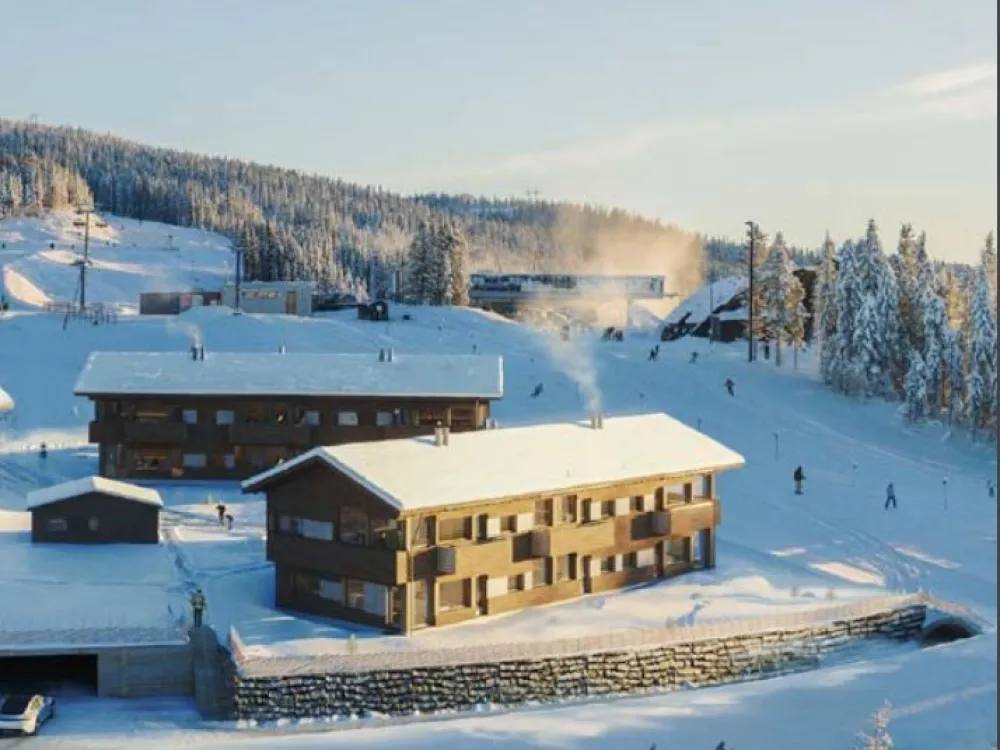 Mosetertoppen Backyard 1 98D