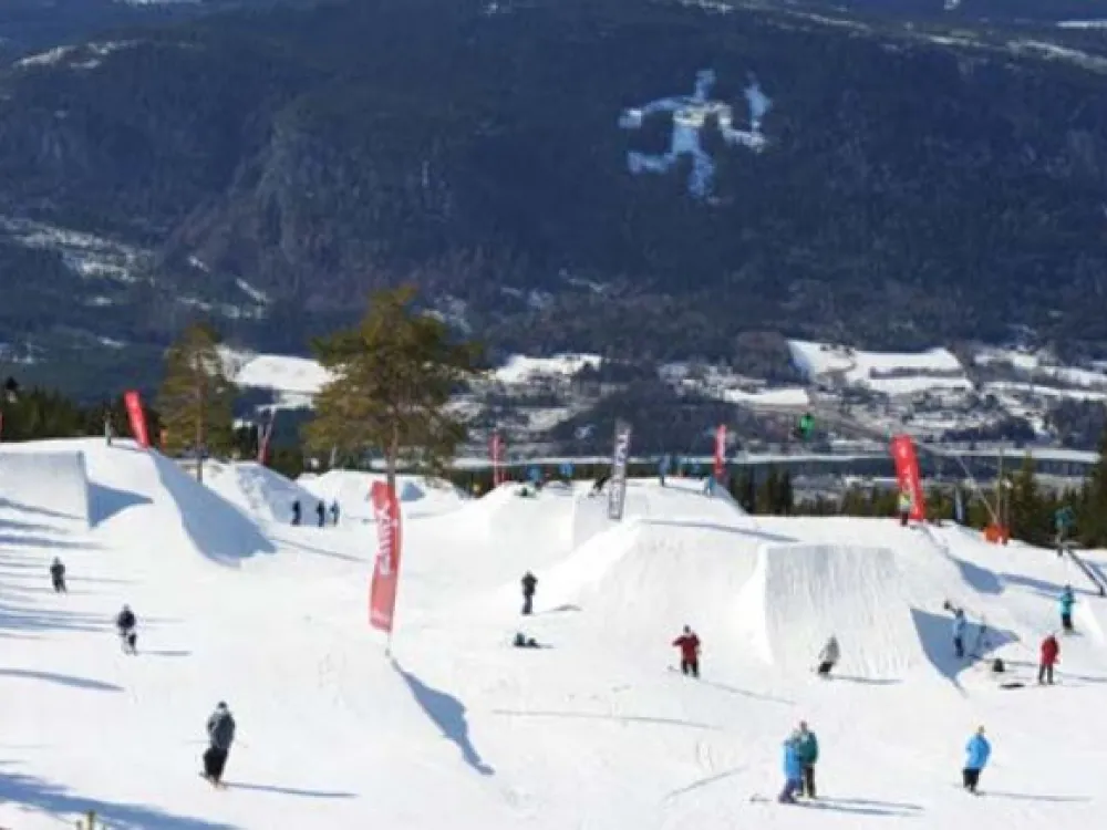 Mosetertoppen Backyard 1 98D