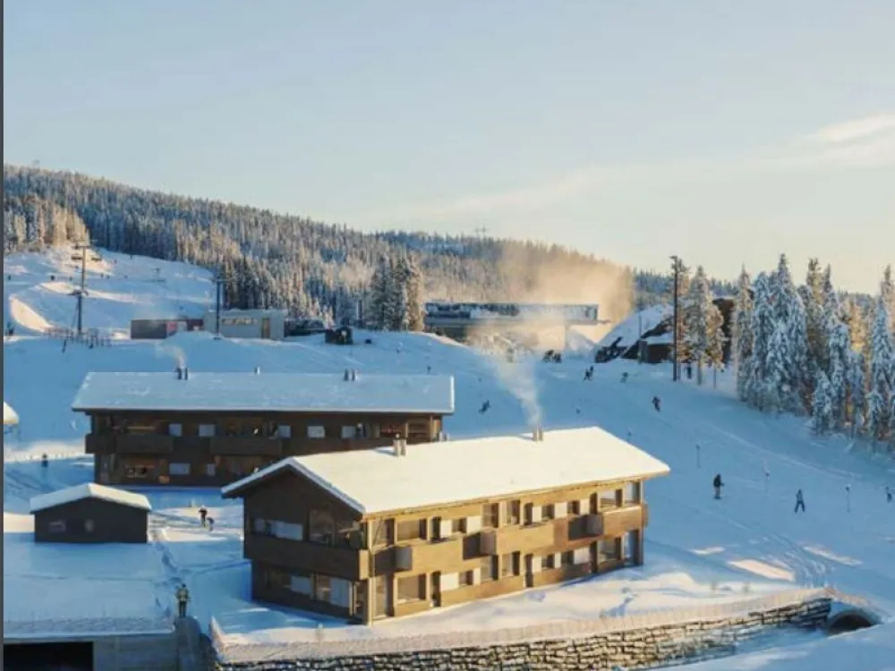 Mosetertoppen Backyard 1 96C