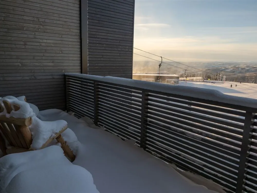 FAVN CHALET 29C