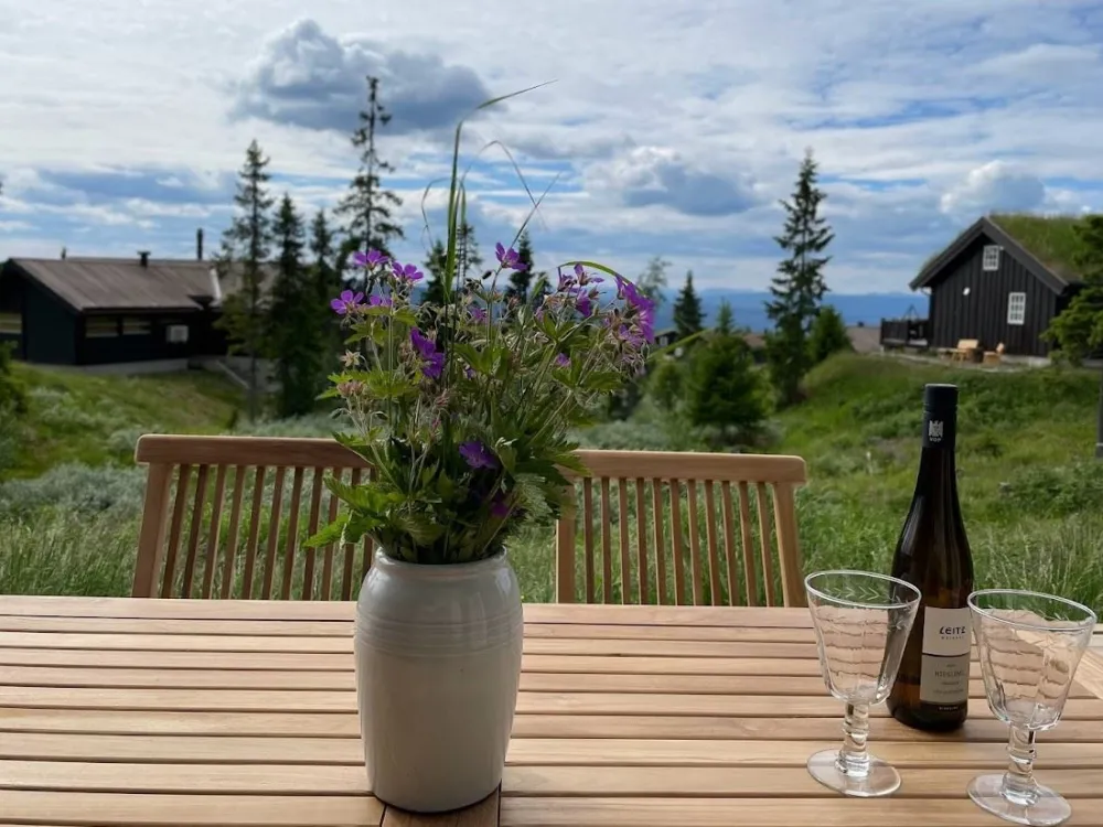 Skåklevegen 44