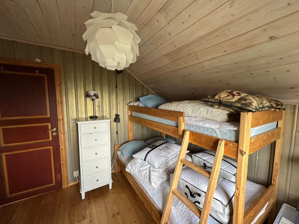 Jansknuten