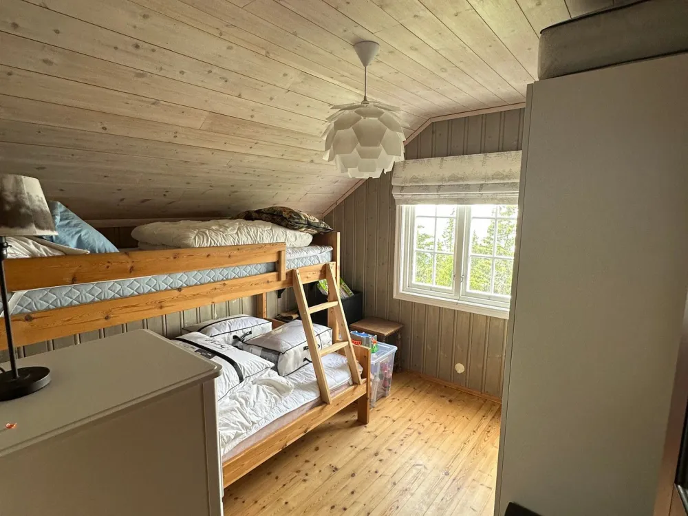 Jansknuten