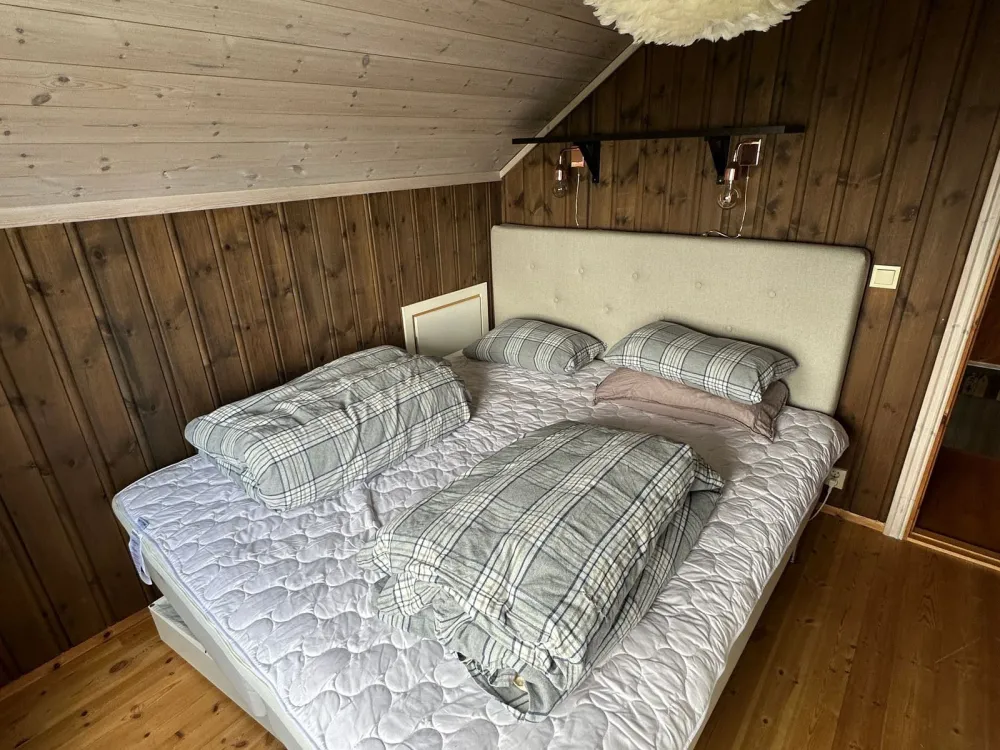 Jansknuten