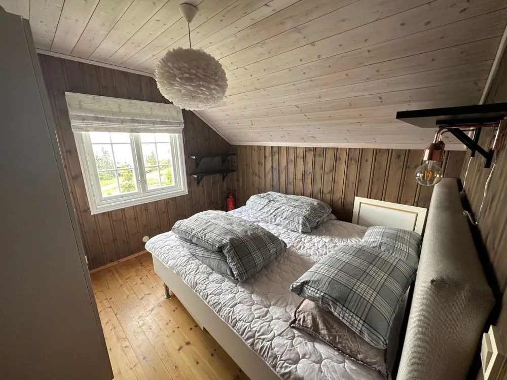 Jansknuten