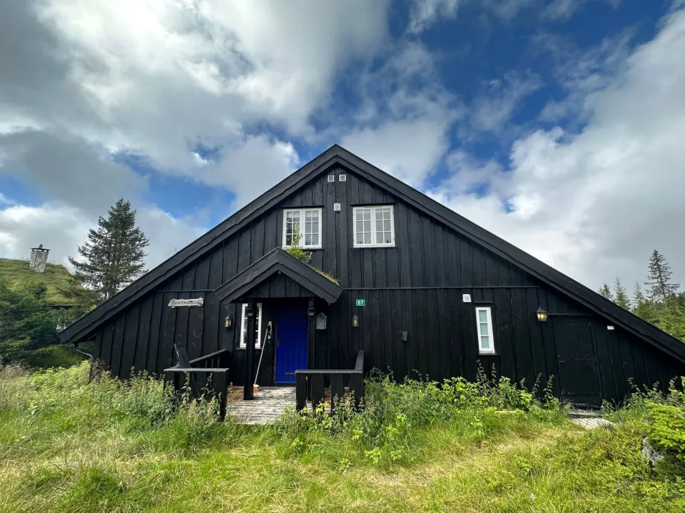 Jansknuten