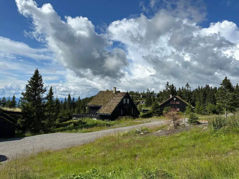 Jansknuten