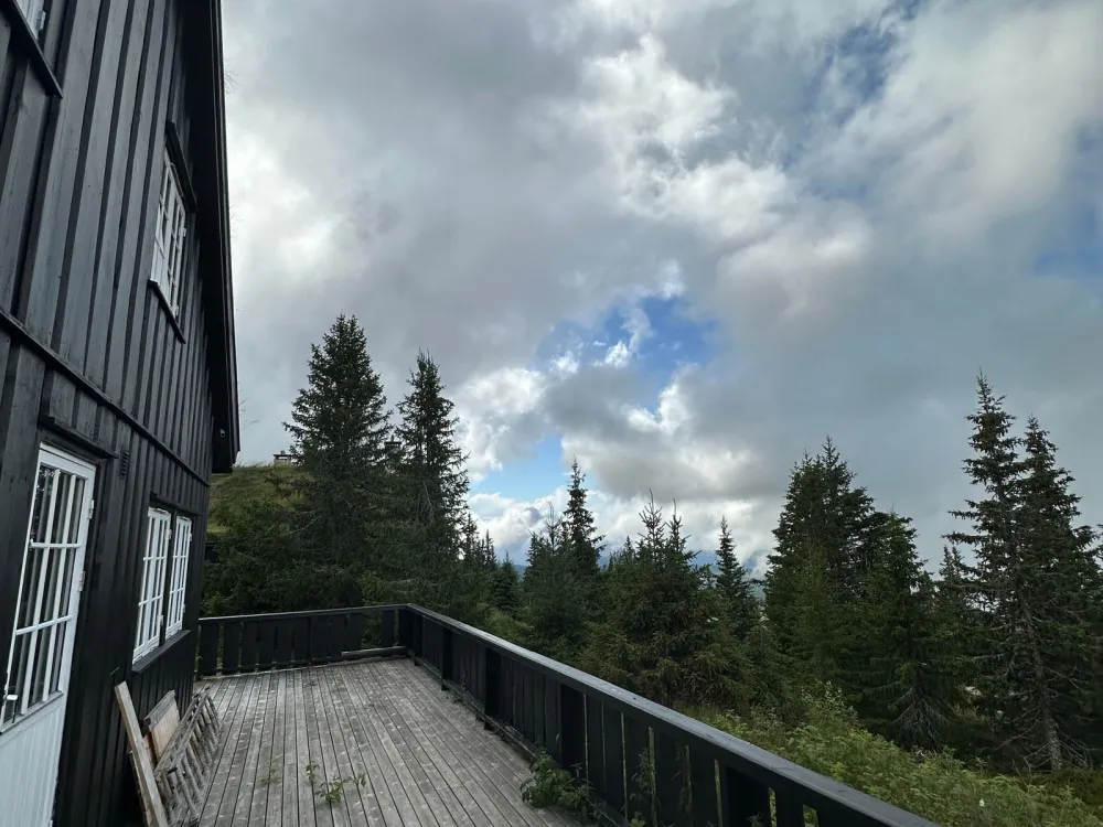 Jansknuten