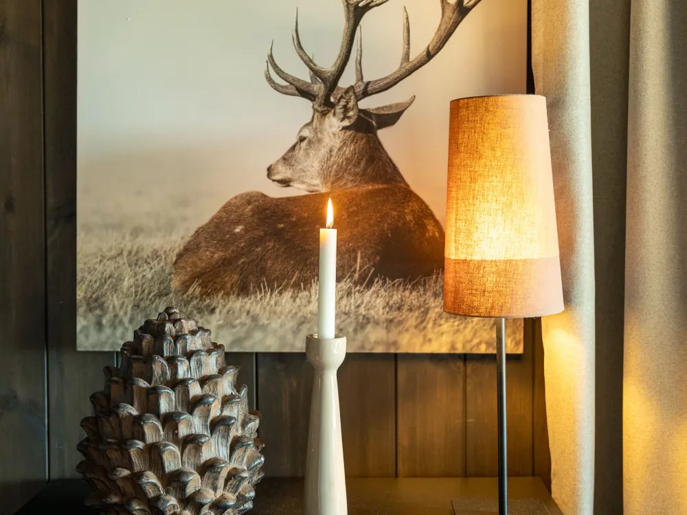 FAVN CHALET 60B