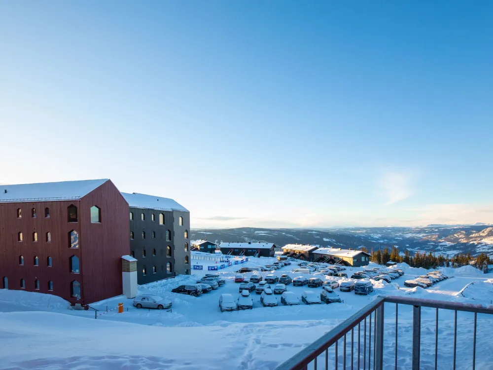 FAVN CHALET 60D